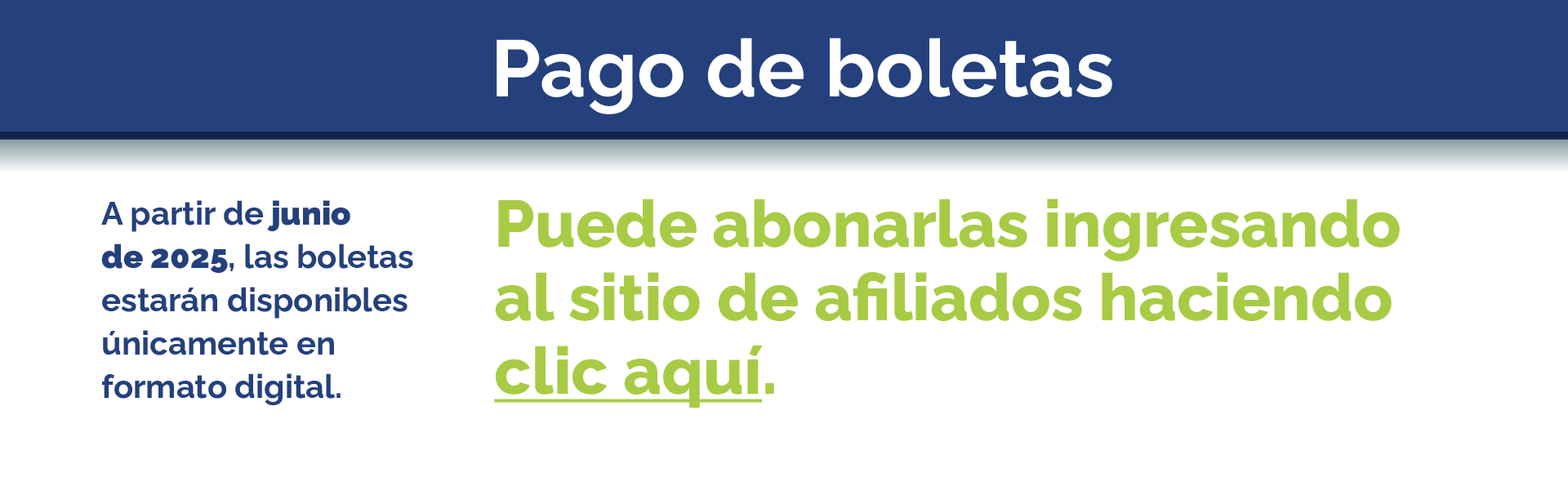 Pagar boletas